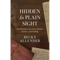 Hidden In Plain Sight: One Woman's Search for Identity, Intimacy and Calling - Paperback