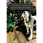 A Roland Colonnade - Hardcover