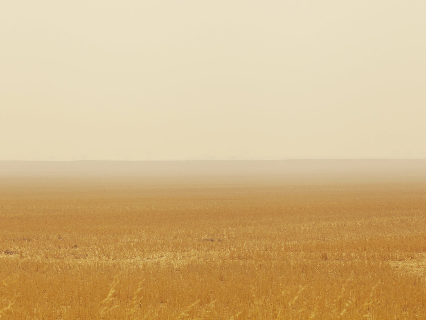 Mihan Aromatics - Petrichor Plains Parfum