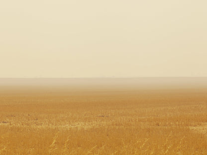 Mihan Aromatics - Petrichor Plains Parfum