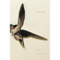 The Swallows - Paperback