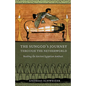 The Sungod's Journey Through the Netherworld: Reading the Ancient Egyptian Amduat - Hardcover