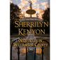 Diary of a Nightmare in Williamson County - Paperback