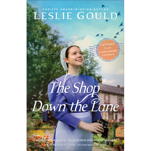 The Shop Down the Lane - Paperback