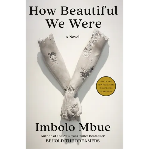 How Beautiful We Were - Hardcover