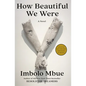 How Beautiful We Were - Hardcover