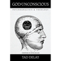 God Is Unconscious: Psychoanalysis and Theology - Paperback