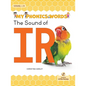 The Sound of IR - Paperback