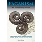Paganism: Pagan holidays, beliefs, gods and goddesses, symbols, rituals, practices, and much more! An Introductory Guide - Paperback