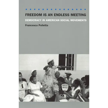 Freedom Is an Endless Meeting: Democracy in American Social Movements - Paperback