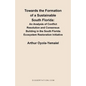 Towards the Formation of a Sustainable South Florida: An Analysis of Conflict Resolution and Consensus Building in the South Florida Ecosystem Restora - Paperback