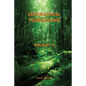 Operation Tomahawk Ninjans 4 - Paperback