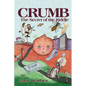 Crumb: The Secret of the Riddle: The Secret of the Riddle - Paperback
