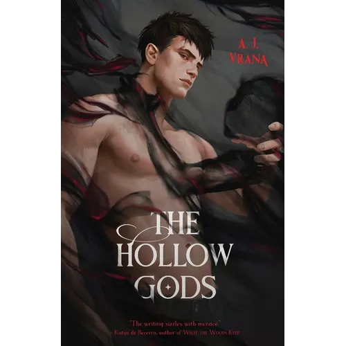 The Hollow Gods - Paperback