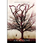 Decay - Paperback