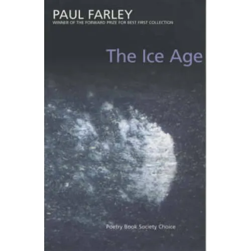 The Ice Age: poems - Paperback