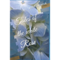 Tales of the White Rose - Paperback