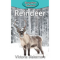 Reindeer - Hardcover