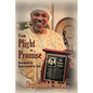 From Plight to Promise - Paperback