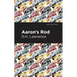 Aaron's Rod - Paperback