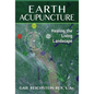 Earth Acupuncture: Healing the Living Landscape - Paperback