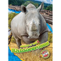 Rhinoceroses - Library Binding