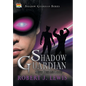 Shadow Guardian Meets Puss and Boots - Hardcover