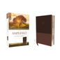 Amplified Study Bible, Imitation Leather, Brown - Imitation Leather