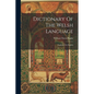 Dictionary Of The Welsh Language: Explained In English - Paperback
