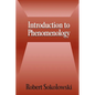 Introduction to Phenomenology - Paperback