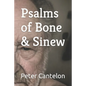 Psalms of Bone & Sinew - Paperback