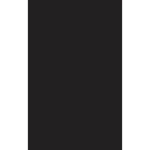 Black Scare / Red Scare: Theorizing Capitalist Racism in the United States - Hardcover