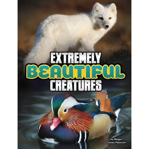 Extremely Beautiful Creatures - Hardcover
