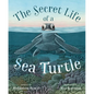 The Secret Life of a Sea Turtle - Hardcover
