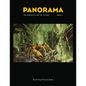 Panorama Book 1: The Fantastic Art of Sv Bell - Paperback