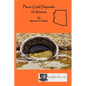 Placer Gold Deposits of Arizona - Paperback
