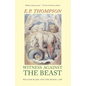 Witness Against the Beast: William Blake and the Moral Law - Paperback