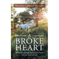 A Broke Heart: Revelation Through the Eyes of a Horse Into the Heart of God - Paperback