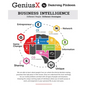 GeniusX: Business Intelligence - Paperback