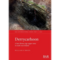 Derrycarhoon: A later Bronze Age copper mine in south-west Ireland - Paperback