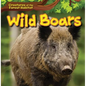 Wild Boars - Library Binding