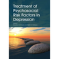 Treatment of Psychosocial Risk Factors in Depression - Paperback