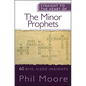 Straight to the Heart of the Minor Prophets: 60 Bite-Sized Insights - Paperback