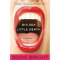Big Sex Little Death - Paperback