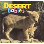 Desert Babies - Board Book