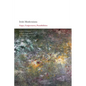 Irish Modernisms: Gaps, Conjectures, Possibilities - Paperback