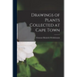 Drawings of Plants Collected at Cape Town - Paperback