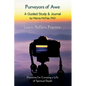 Purveyors of Awe: Elements for Curating a Life of Spiritual Depth - Paperback