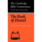 The Book of Daniel - Paperback