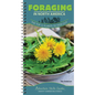 Foraging in North America: The Top 12 Plants to Seek Out - Spiral